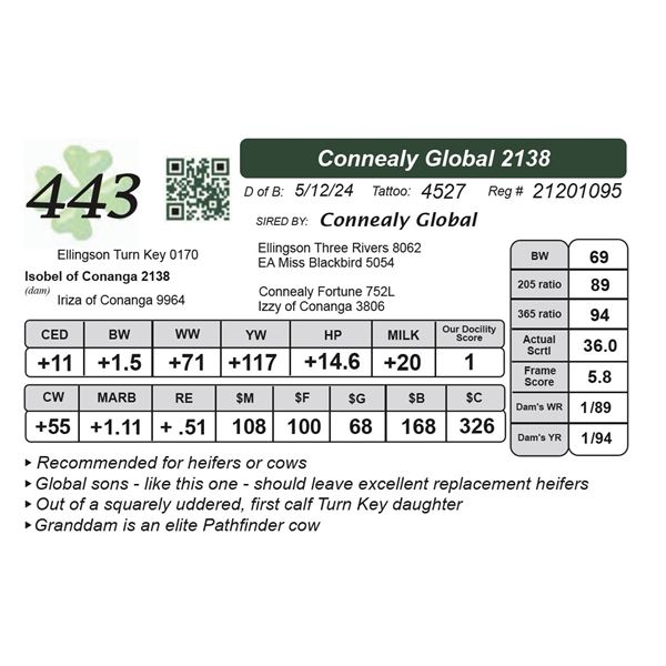 Connealy Global 2138
