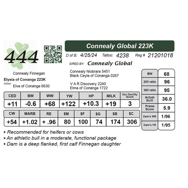 Connealy Global 223K