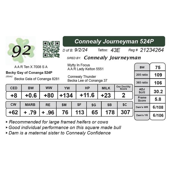 Connealy Journeyman 524P