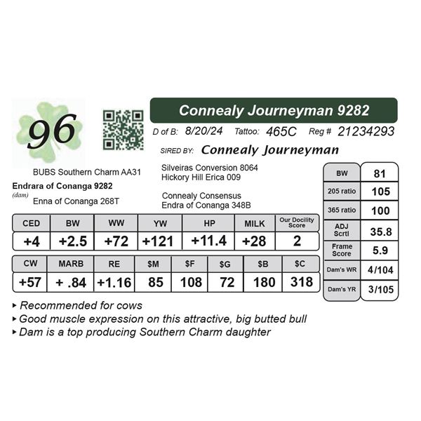 Connealy Journeyman 9282