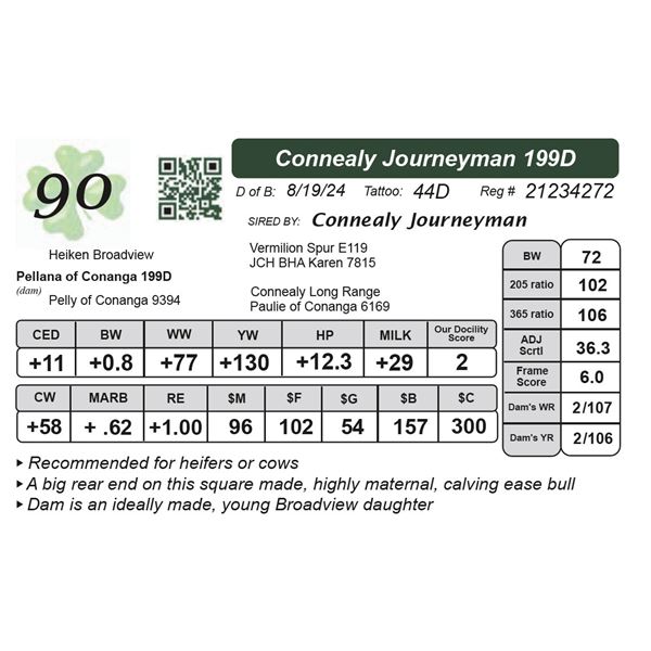 Connealy Journeyman 199D