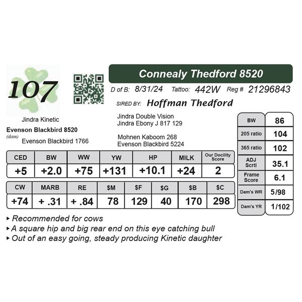 Connealy Thedford 8520