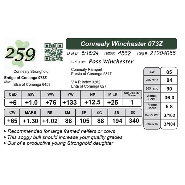 Connealy Winchester 073Z