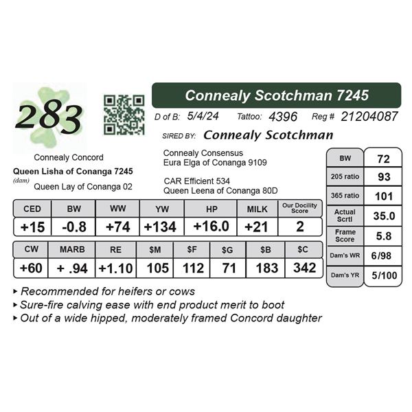 Connealy Scotchman 7245