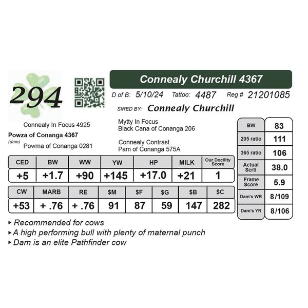 Connealy Churchill 4367