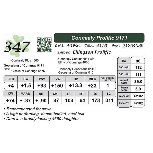 Connealy Prolific 9171