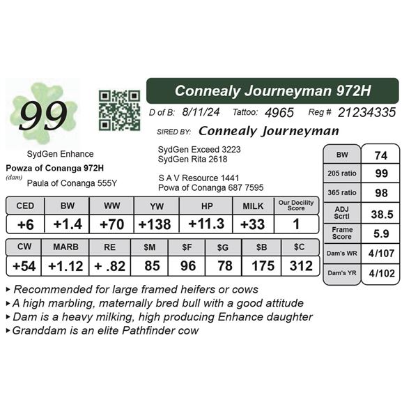 Connealy Journeyman 972H