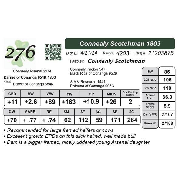 Connealy Scotchman 1803