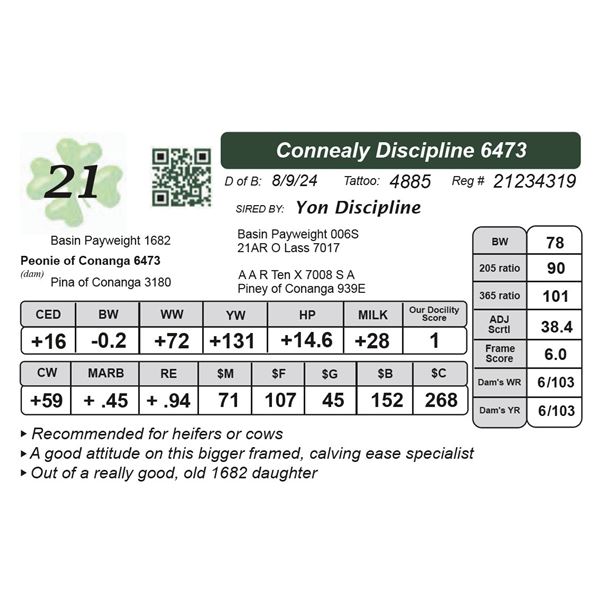 Connealy Discipline 6473