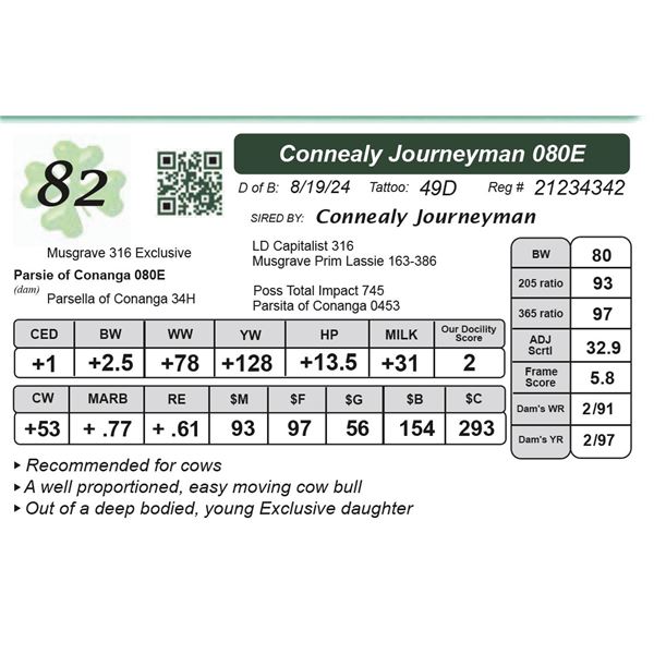 Connealy Journeyman 080E