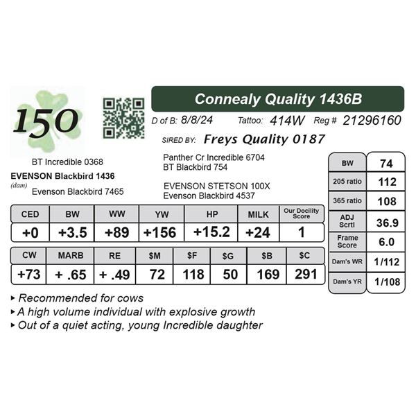 Connealy Quality 1436B