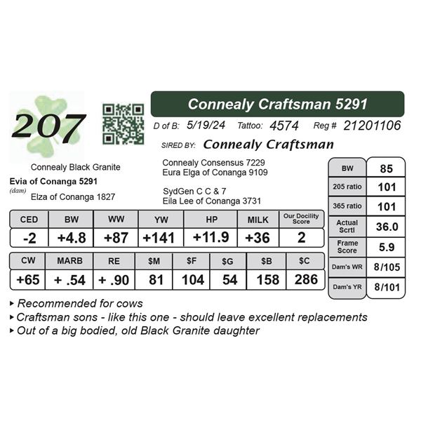 Connealy Craftsman 5291