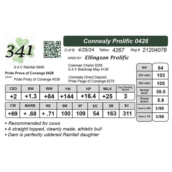 Connealy Prolific 0428