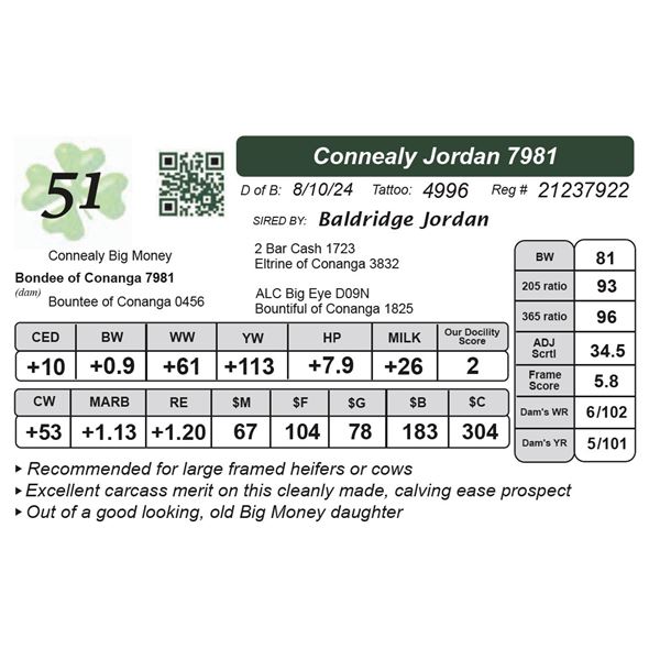Connealy Jordan 7981