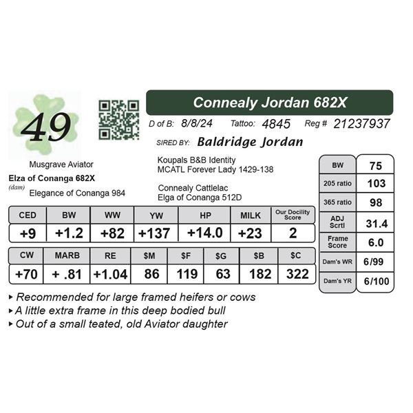 Connealy Jordan 682X