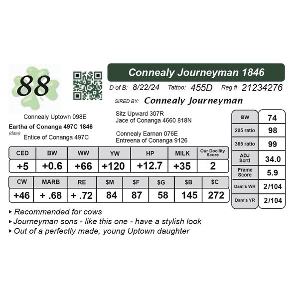 Connealy Journeyman 1846