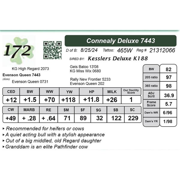 Connealy Deluxe 7443