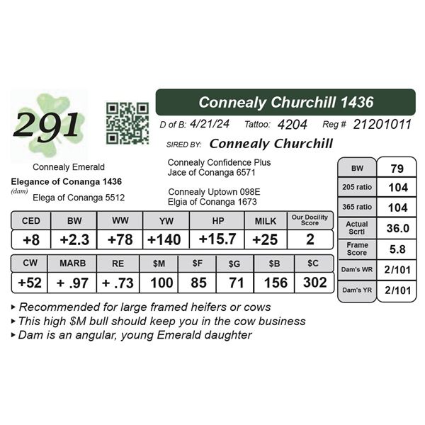 Connealy Churchill 1436