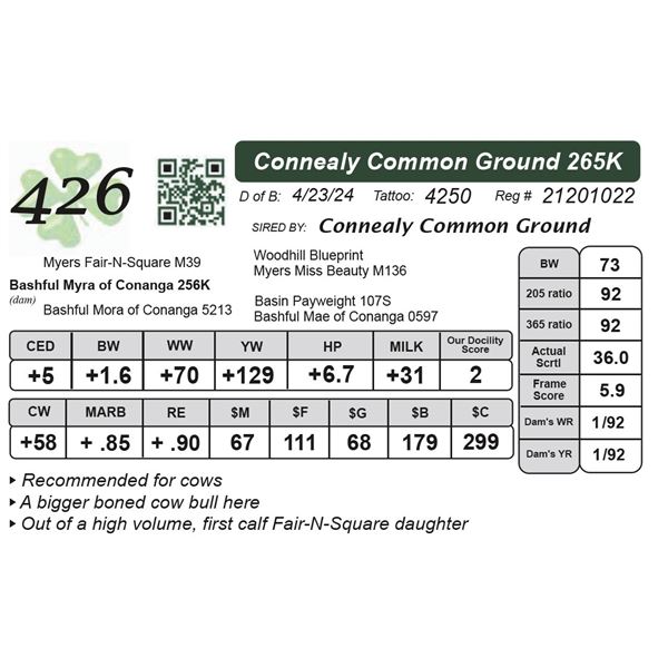 Connealy Common Ground 265K