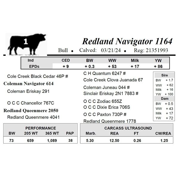 Redland Navigator 1164