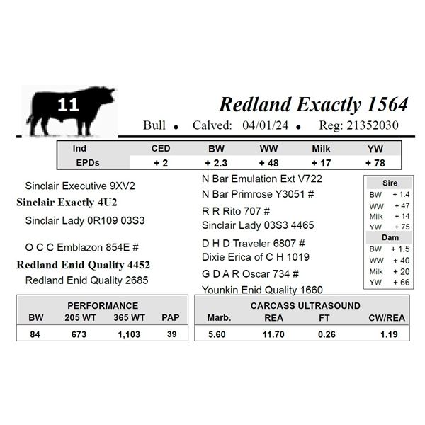 Redland Exactly 1564