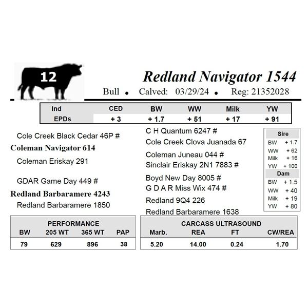 Redland Navigator 1544