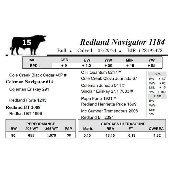 Redland Navigator 1184