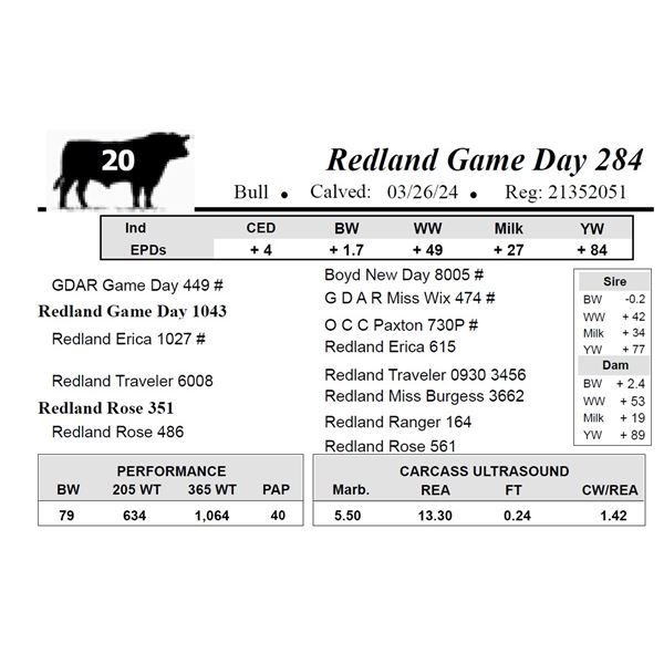 Redland Game Day 284