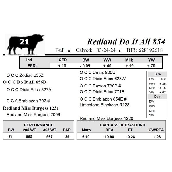 Redland Do It All 854