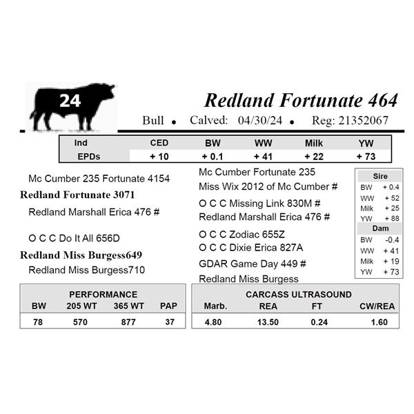 Redland Fortunate 464