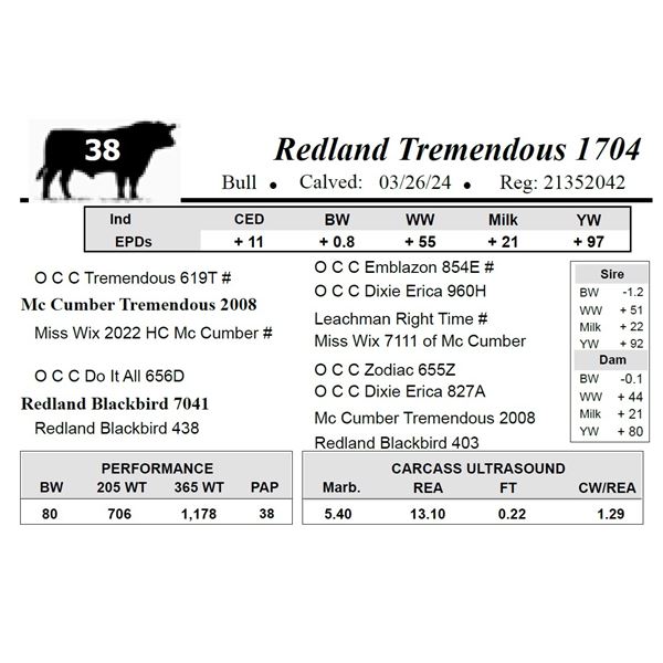 Redland Tremendous 1704