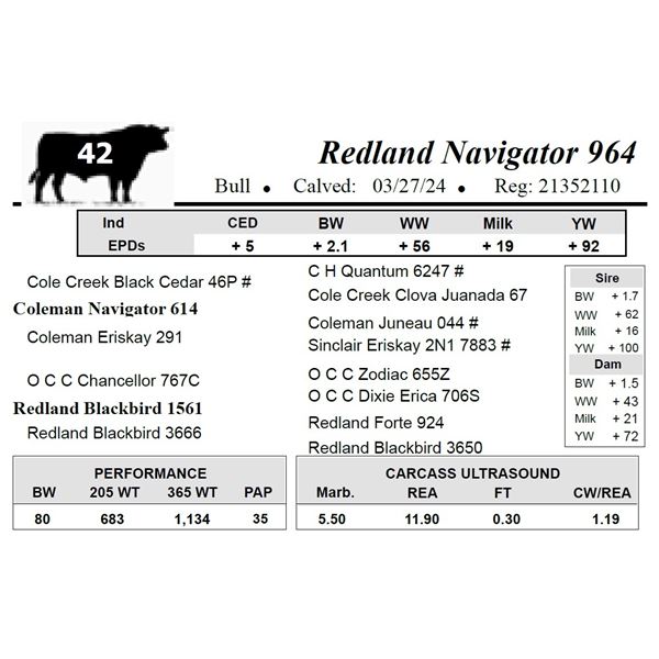 Redland Navigator 964