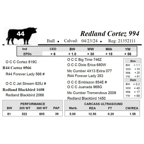 Redland Cortez 994