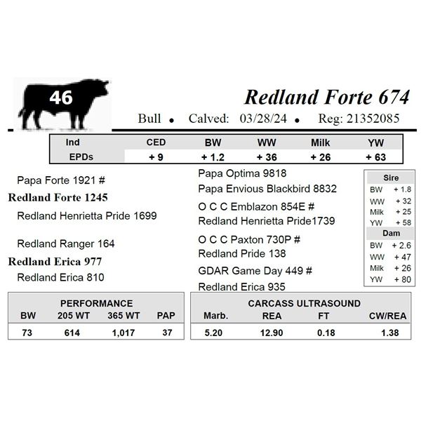 Redland Forte 674