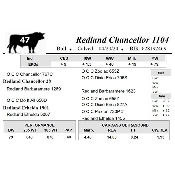 Redland Chancellor 1104