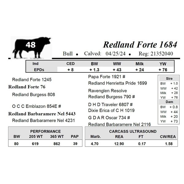 Redland Forte 1684
