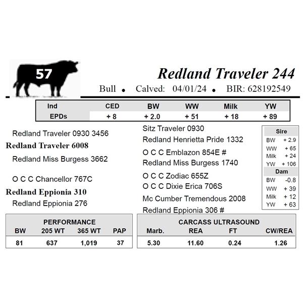 Redland Traveler 244