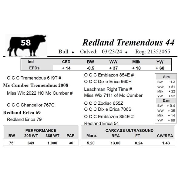 Redland Tremendous 44