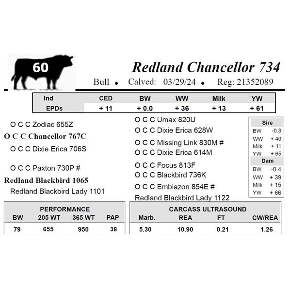 Redland Chancellor 734