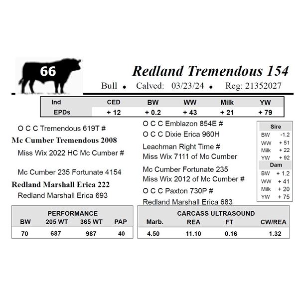 Redland Tremendous 154