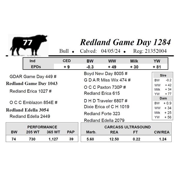 Redland Game Day 1284