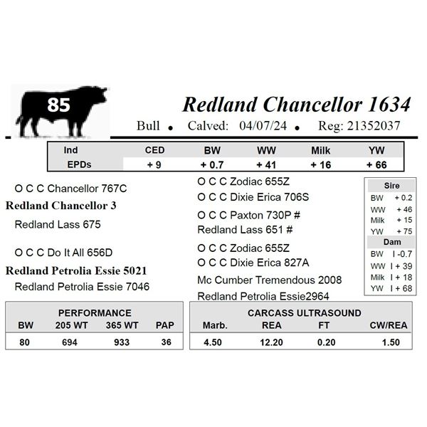 Redland Chancellor 1634