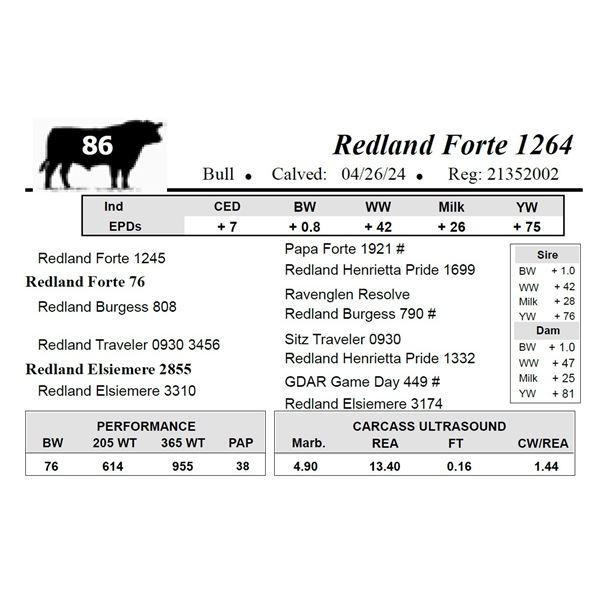 Redland Forte 1264