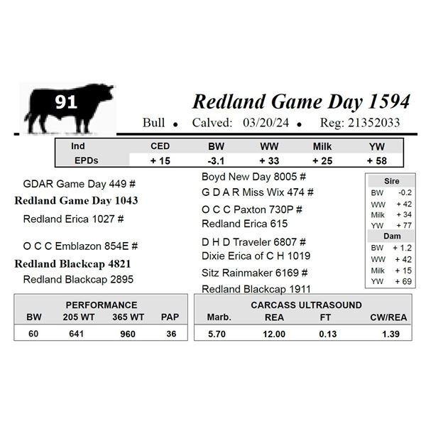 Redland Game Day 1594