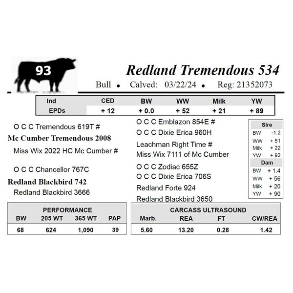 Redland Tremendous 534