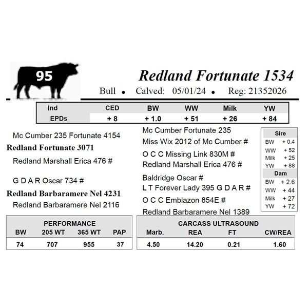 Redland Fortunate 1534