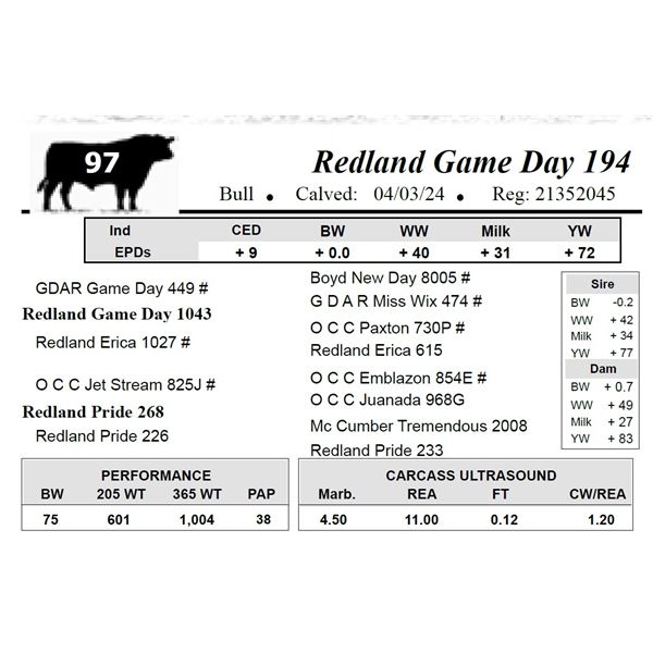 Redland Game Day 194