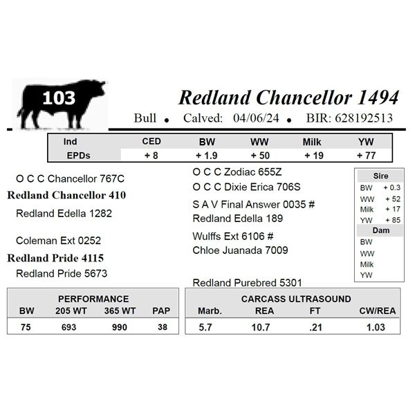 Redland Chancellor 1494