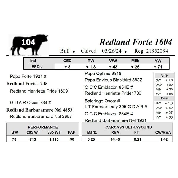 Redland Forte 1604