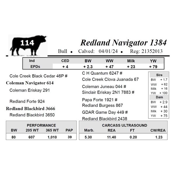 Redland Navigator 1384